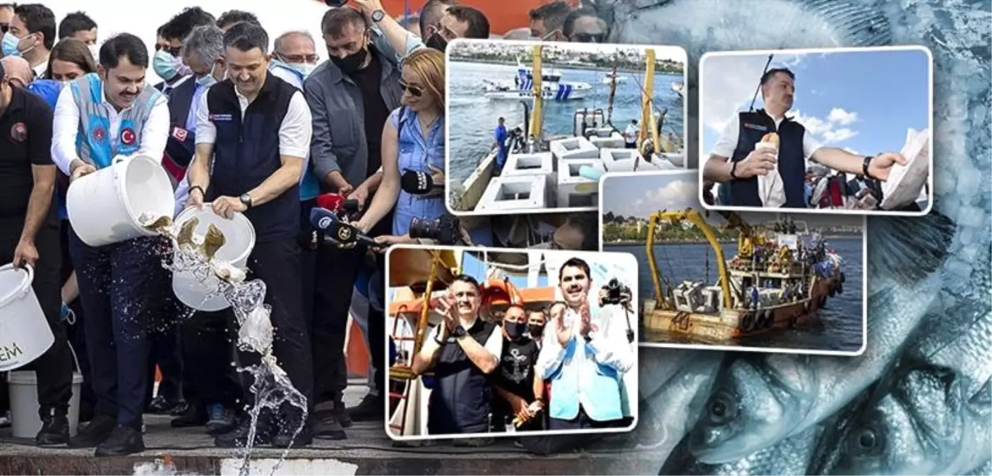 Bakan Pakdemirl: '(Müsülajla mücadele) 17 milyon midye ayda 3,3 milyon metreküp suyu temizleyecek'
