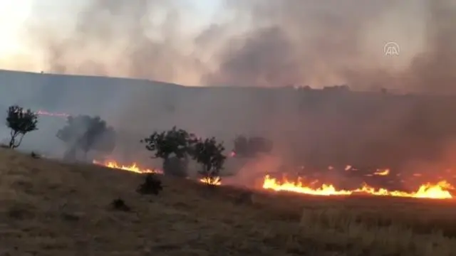 Elazığ'da çıkan yangında 60 dönüm alan zarar gördü