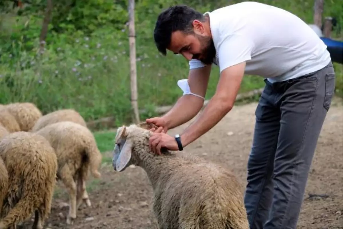 Köyüne dönen 25 yaşındaki genç, 'Genç Çiftçi' projesiyle 3 yılda 250 bin lira kazandı