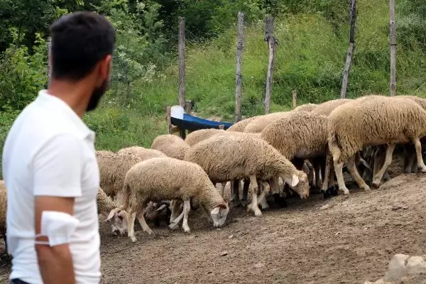 Köyüne dönen 25 yaşındaki genç, 'Genç Çiftçi' projesiyle 3 yılda 250 bin lira kazandı