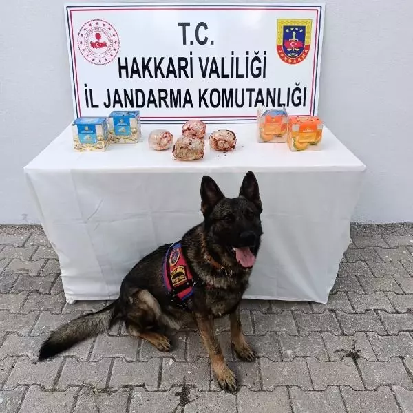 Hakkari'de kargo aracında 2 kilo eroin ele geçirildi