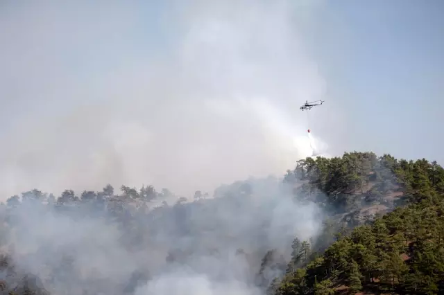 Son dakika haberi! KAHRAMANMARAŞ - Onikişubat Çamlıbel mevkisinde çıkan orman yangını kontrol altına alındı Son dakika haberi! KAHRAMANMARAŞ - Onikişubat Çamlıbel mevkisinde çıkan orman yangını kontrol altına alındı
