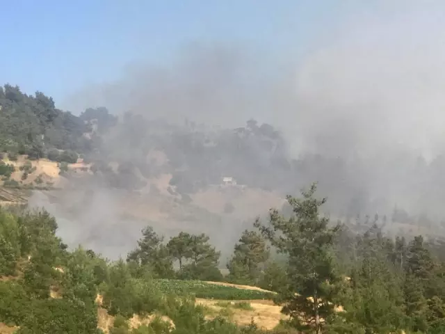 Son dakika haberi! KAHRAMANMARAŞ - Onikişubat Çamlıbel mevkisinde çıkan orman yangını kontrol altına alındı