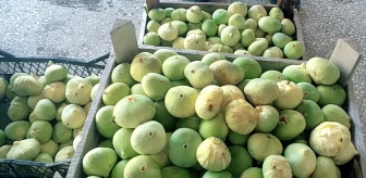 Mersin'de incirin kilosu 20 liradan alıcı buldu