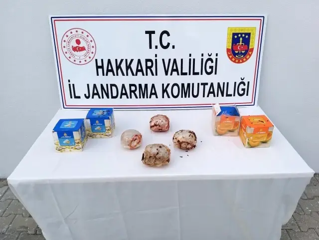 Hakkari'de kargo aracında 2 kilo eroin ele geçirildi
