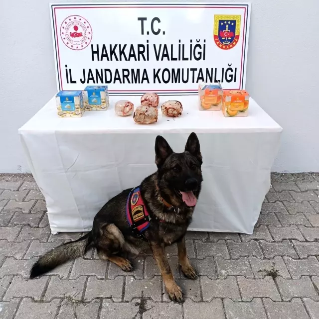 Hakkari'de kargo aracında 2 kilo eroin ele geçirildi
