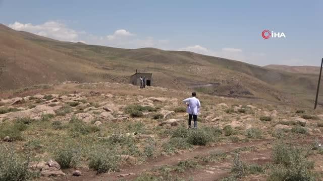 saglik calisanlari dag tepe demeden berivanla 14268446 o