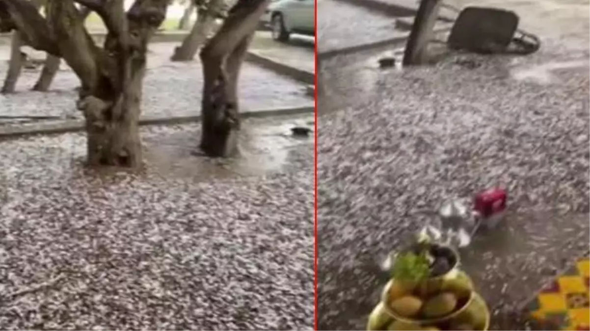 Suudi Arabistan'da yaz ortasında fındık büyüklüğünde dolu yağdı