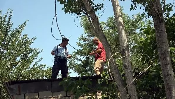 Son dakika haberi... UÇURTMA İPİNE DOLANAN MARTIYI İTFAİYE KURTARDI