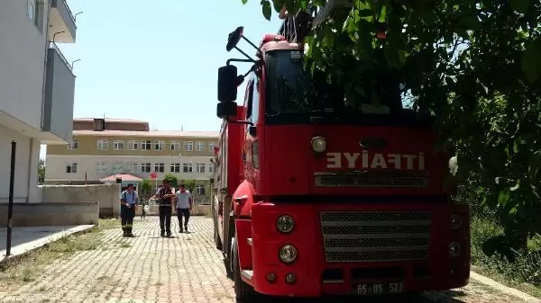 Son dakika haberi... UÇURTMA İPİNE DOLANAN MARTIYI İTFAİYE KURTARDI
