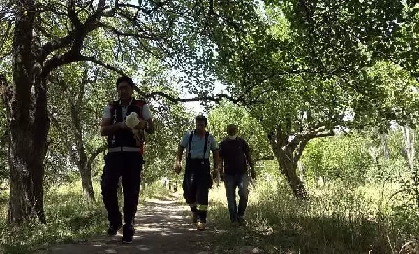 Son dakika haberi... UÇURTMA İPİNE DOLANAN MARTIYI İTFAİYE KURTARDI