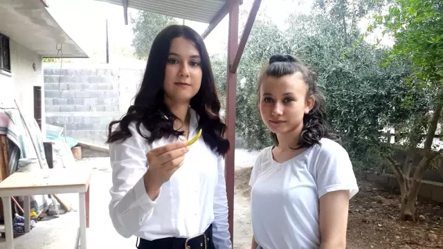Üniversiteli genç kızın çalışmaları sonuç verdi, 'kekik aromalı acı biber yetiştirdi