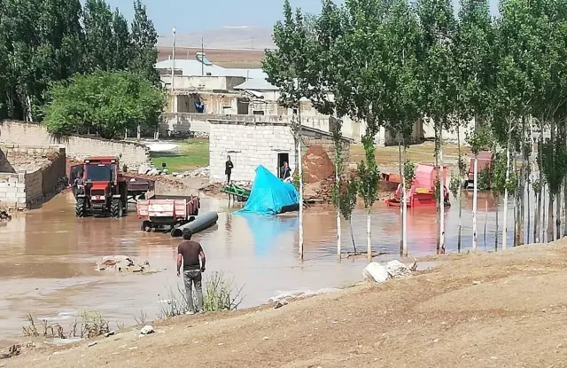 Son dakika haberleri! Van'da sel sularına kapılan 50 küçükbaş hayvan telef oldu