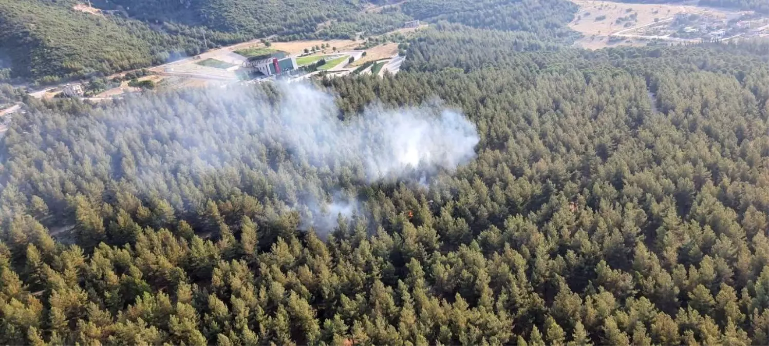 Son dakika haberi! Yerleşim alanlarına yakın 2 noktada çıkan yangında sabotaj şüphesi