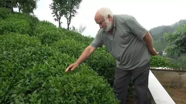 Bir anda yere yığıldı! Temizlik yaptığı sırada göğsüne yorgun mermi isabet etti Bir anda yere yığıldı! Temizlik yaptığı sırada göğsüne yorgun mermi isabet etti