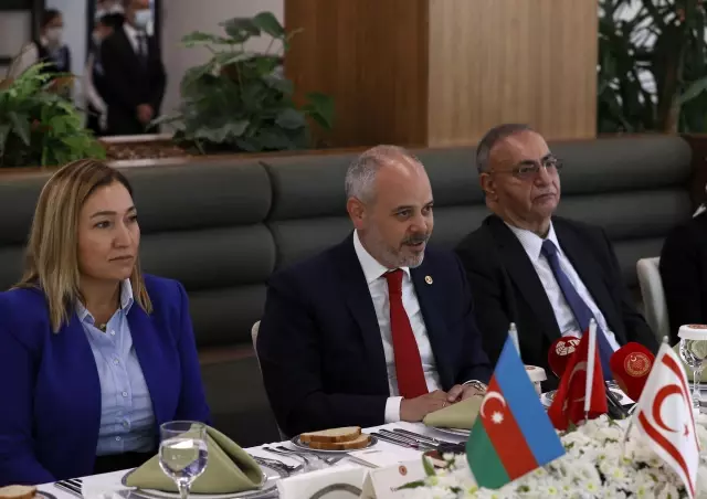 Azerbaycan ve KKTC Dışişleri Komiteleri heyetleri TBMM'de