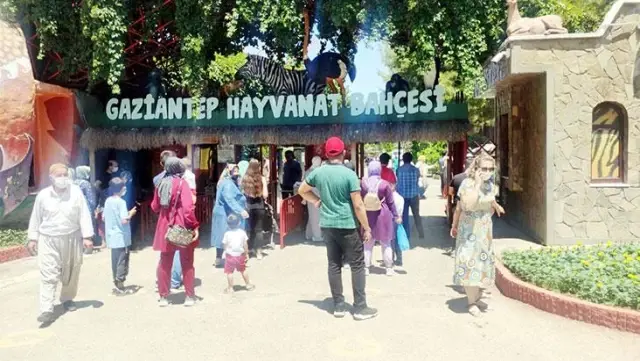 Gaziantep'te panik! Kafesini parçalayarak kaçan aslan önüne gelene saldırdı: 3 yaralı Gaziantep'te panik! Kafesini parçalayarak kaçan aslan önüne gelene saldırdı: 3 yaralı