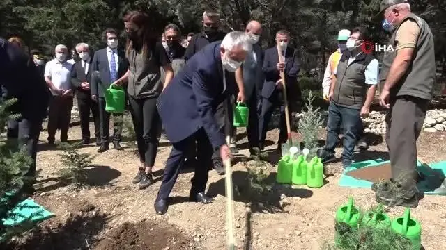 Isparta'da 15 Temmuz Ormanı'na fidan dikildi