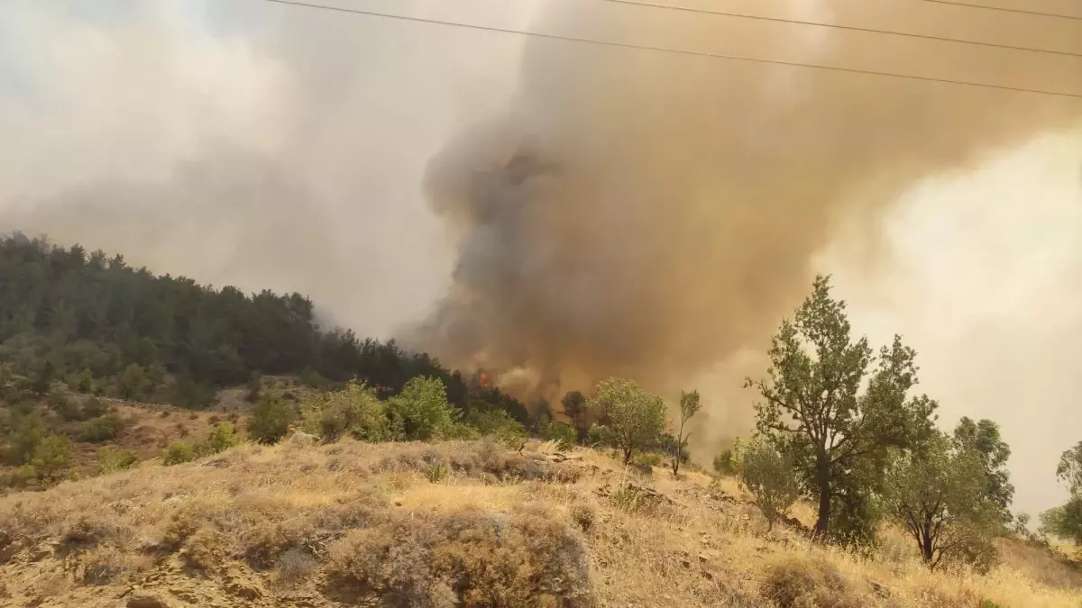 Orman yangınına havadan ve karadan müdahale ediliyor (5)