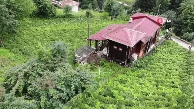 Rize'de ilginç yöntem...Yaptığı ahşap ev yetmeyince 70 yıllık serenderi evine ekledi