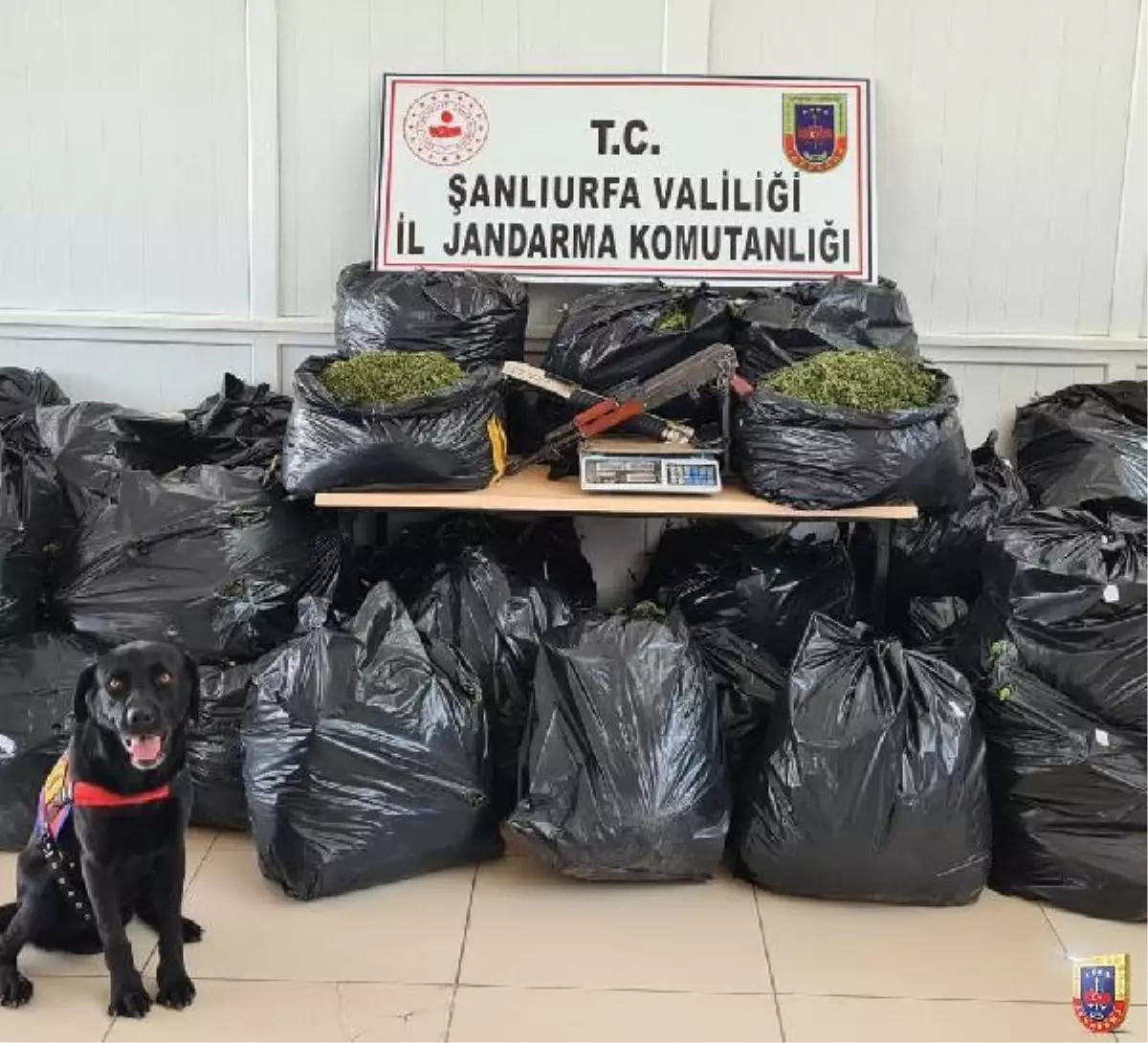Şanlıurfa'da uyuşturucu operasyonu: 10 gözaltı