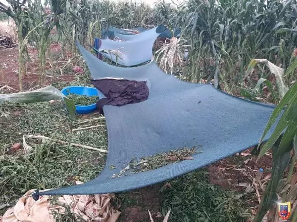 Şanlıurfa'da uyuşturucu operasyonu: 10 gözaltı