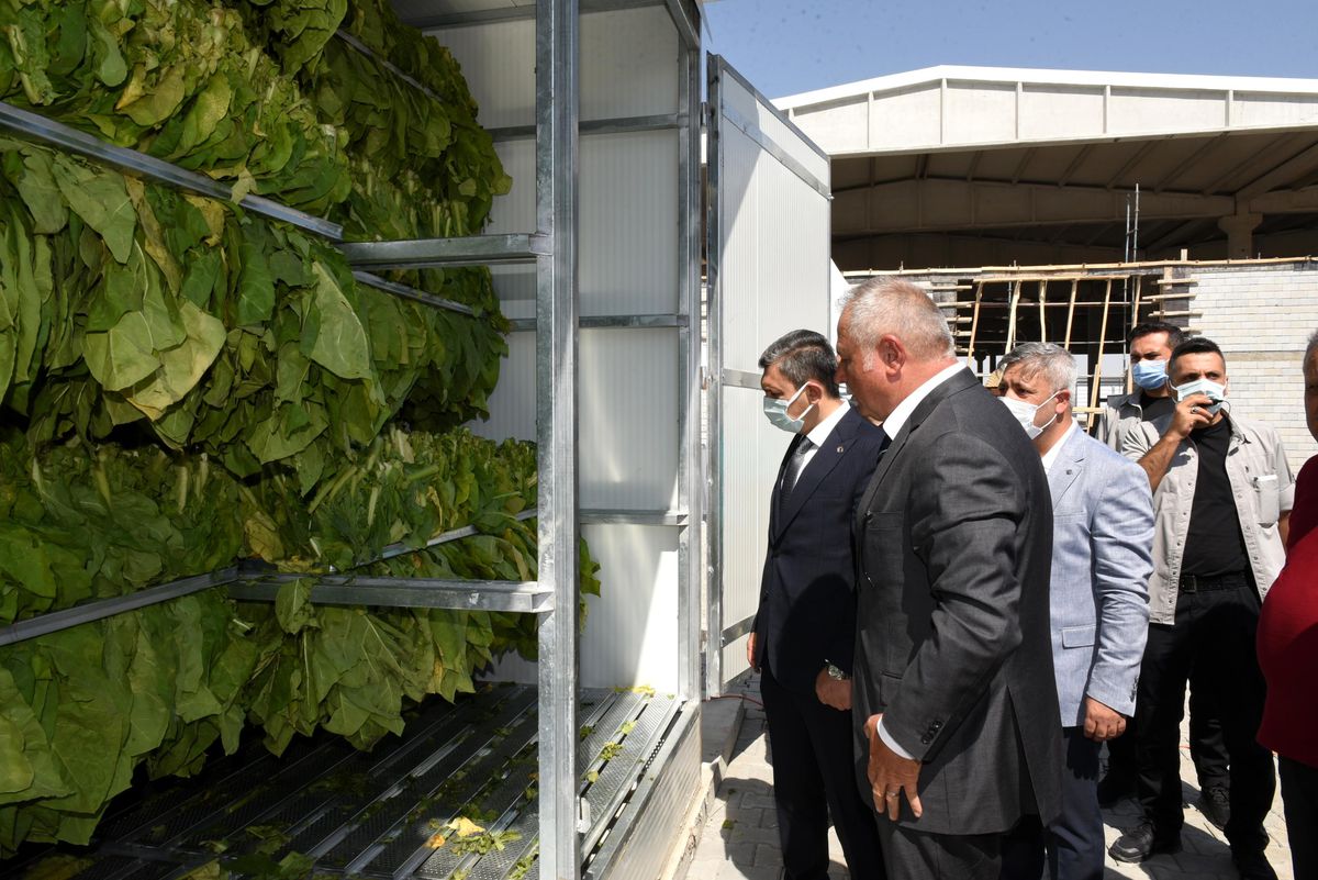 Tütün Kurutma Fabrikası Hizmete Açıldı