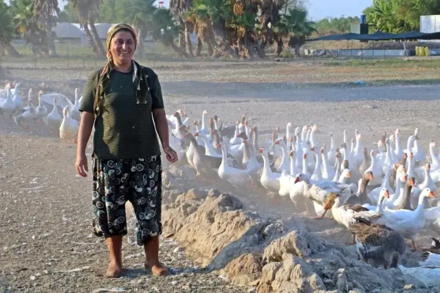 'Yapamazsın' diyenlere inat 4 bilezikle hayvancılık işine girdi, milyonluk servet sahibi oldu 'Yapamazsın' diyenlere inat 4 bilezikle hayvancılık işine girdi, milyonluk servet sahibi oldu