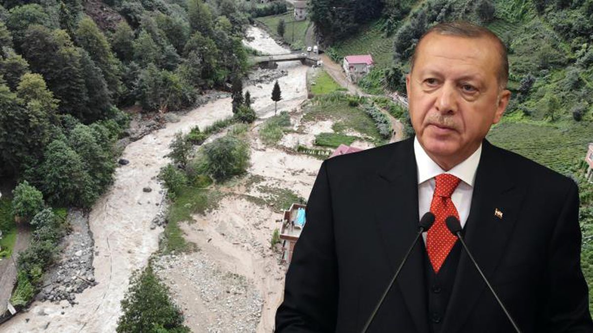 Cumhurbaşkanı Erdoğan'dan Rize'deki sel felaketiyle ilgili acı sözler: Ağaçlar sökülüp çaylık yapıldı