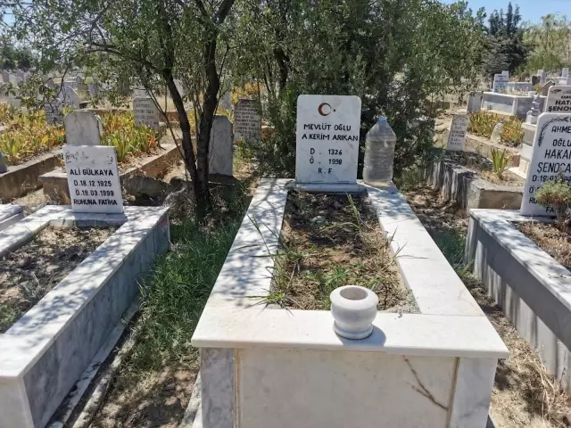 Mezarlarına kenevir ekilen köylüler İHA'ya konuştu