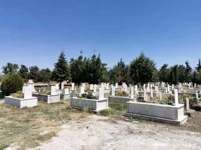 Mezarlarına kenevir ekilen köylüler İHA'ya konuştu