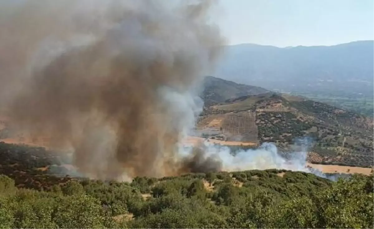 Nazilli'de ormanlık alana sıçrayan yangın 10 saatte söndürüldü