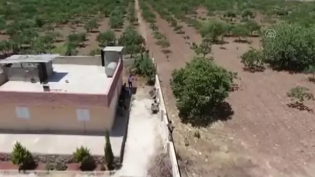 ŞANLIURFA - Silahlı kavga sırasında yoldan geçen kişiyi yaralayan zanlı tutuklandı