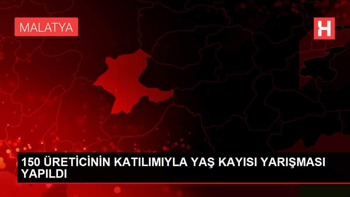 150 ÜRETİCİNİN KATILIMIYLA YAŞ KAYISI YARIŞMASI YAPILDI 150 ÜRETİCİNİN KATILIMIYLA YAŞ KAYISI YARIŞMASI YAPILDI
