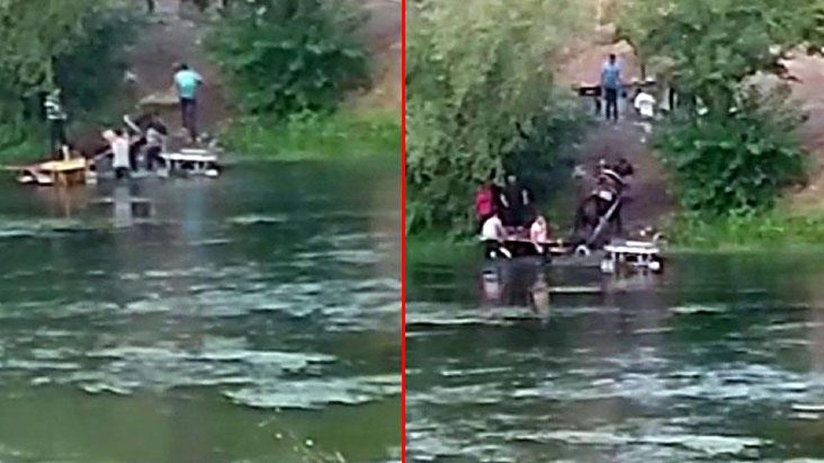 Vicdanları sızlattı! Ata eziyet edilen anlar saniye saniye kamerada