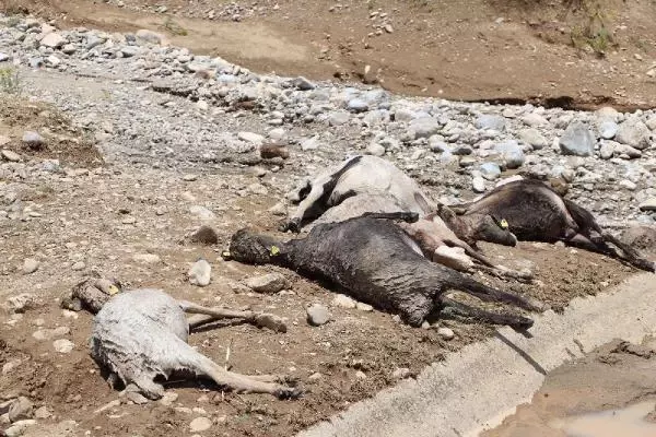 Başkale'de hasar tespit çalışmaları sürüyor