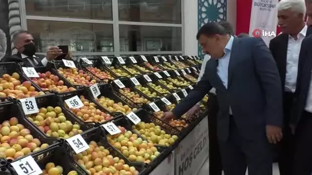 'En iyi yaş kayısı' yarışması yapıldı 'En iyi yaş kayısı' yarışması yapıldı