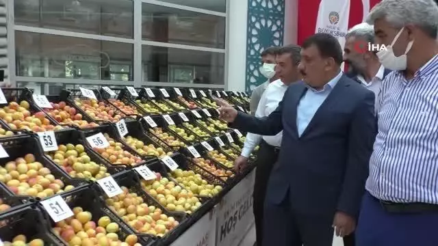 'En iyi yaş kayısı' yarışması yapıldı
