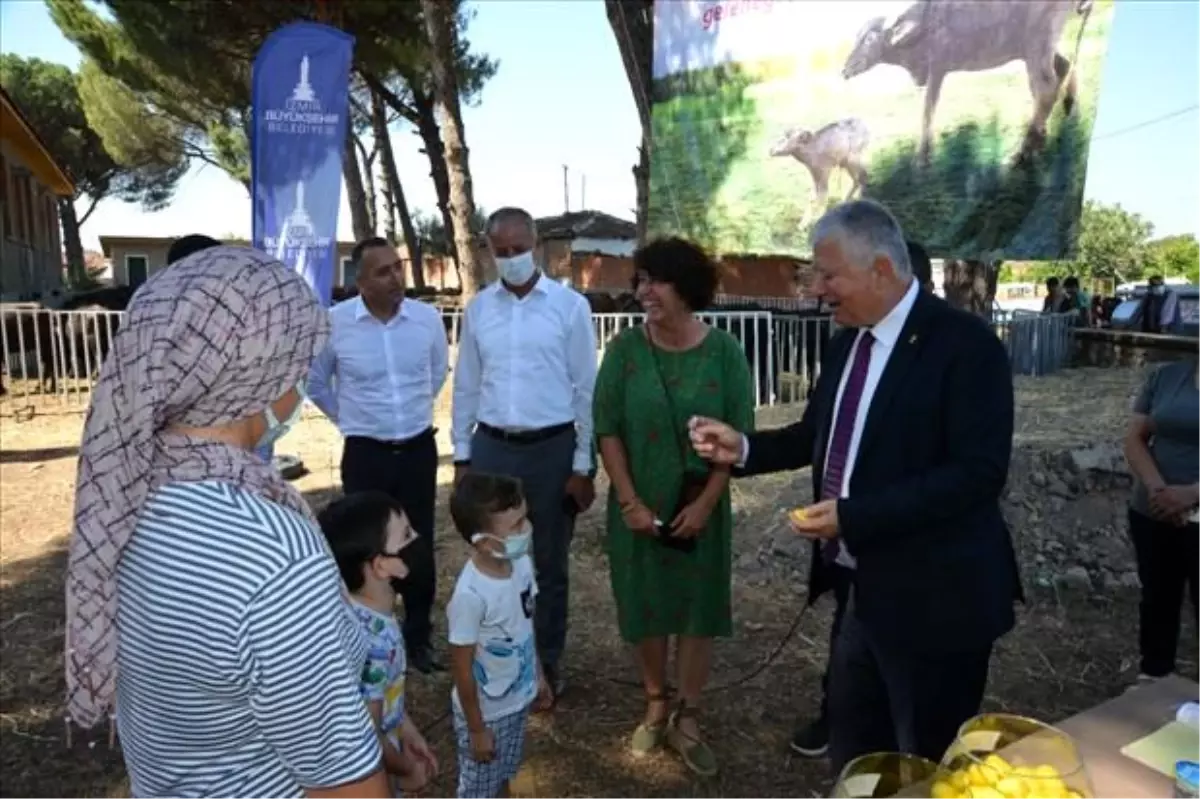 İzmir Büyükşehir Belediyesi'nden Bergamalı üreticilere manda desteği