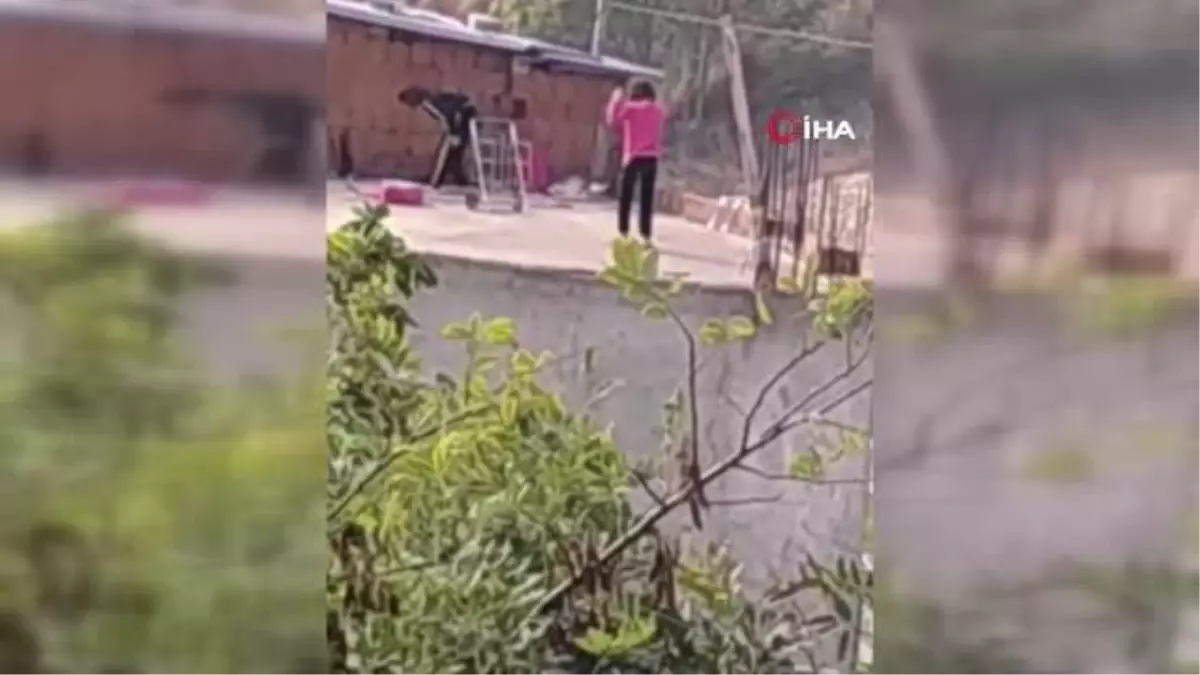 Kediye yapılan işkence