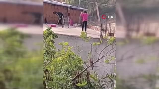 kediye yapilan iskence pes dedirtti 14275179 o