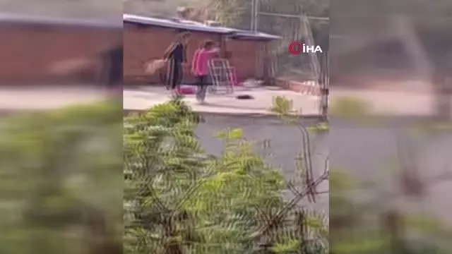 Kediye yapılan işkence pes dedirtti