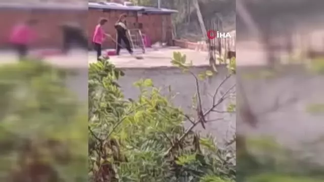 Kediye yapılan işkence pes dedirtti