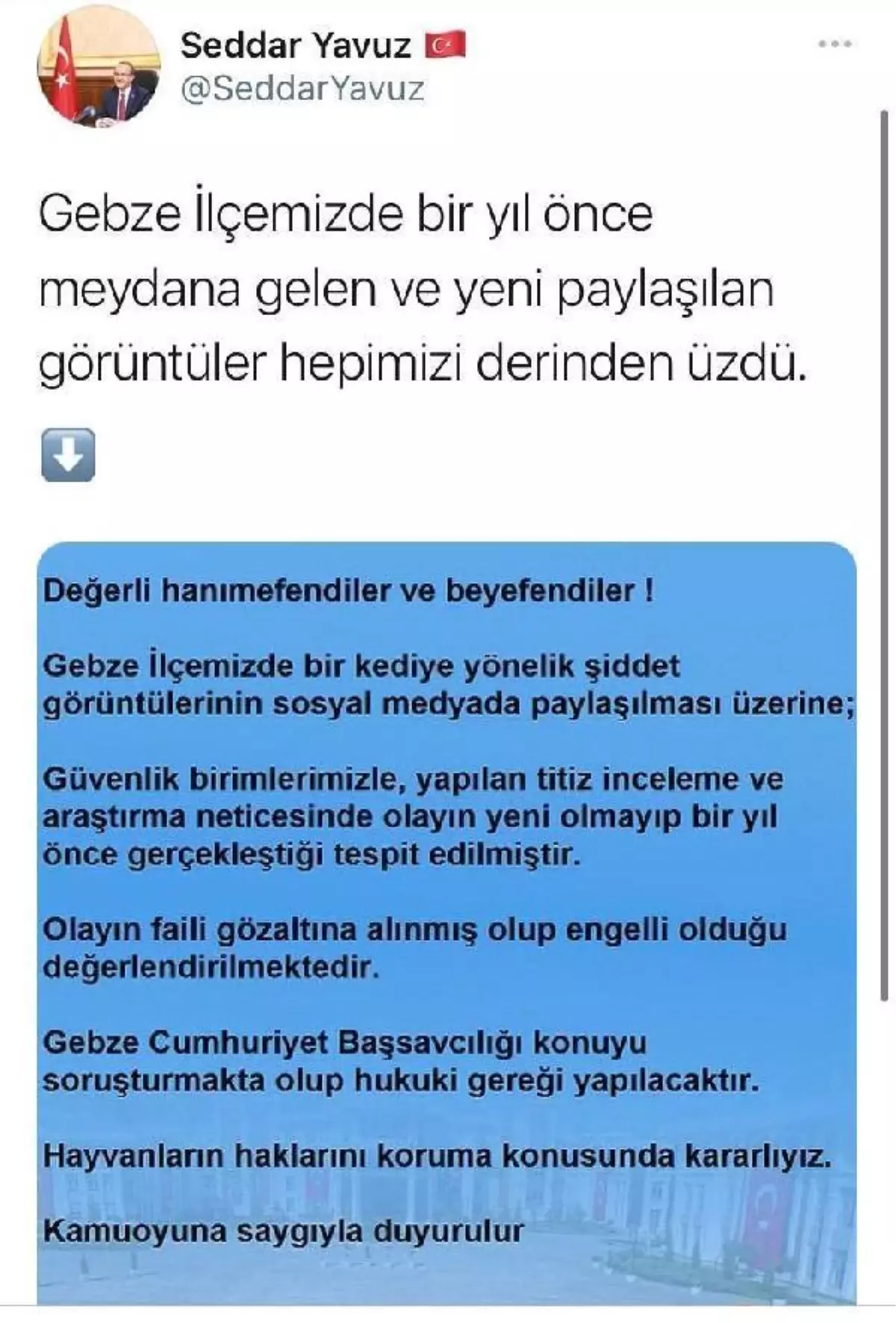 Kediyi iple çatıdan sarkıtıp, süpürge ile vurdular (2)
