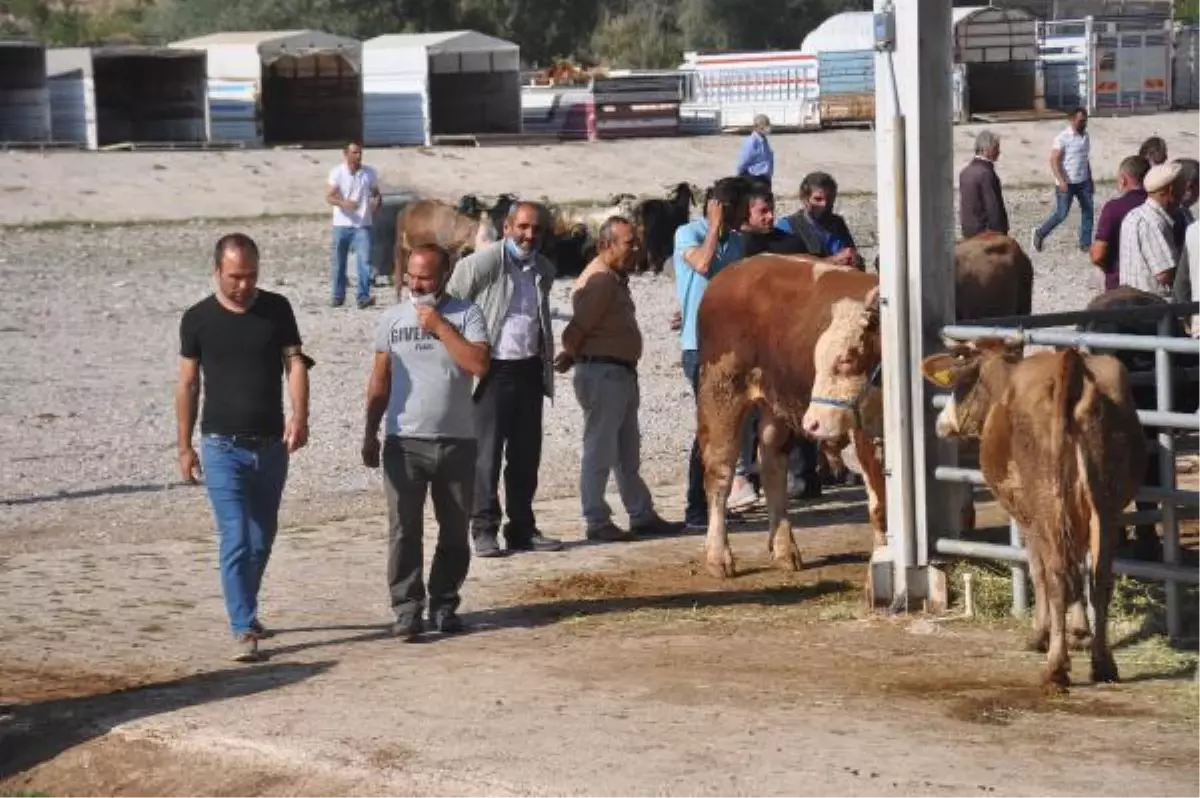 KELKİT'TE, BAYRAM ÖNCESİ KURBAN PAZARI HAREKETLENDİ