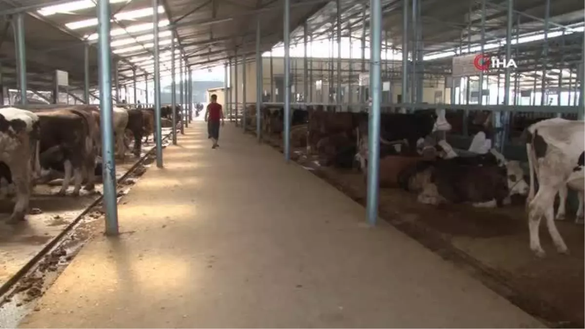 Kurban pazarında yaprak kıpırdamıyor