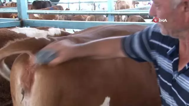 Kurban pazarında yaprak kıpırdamıyor