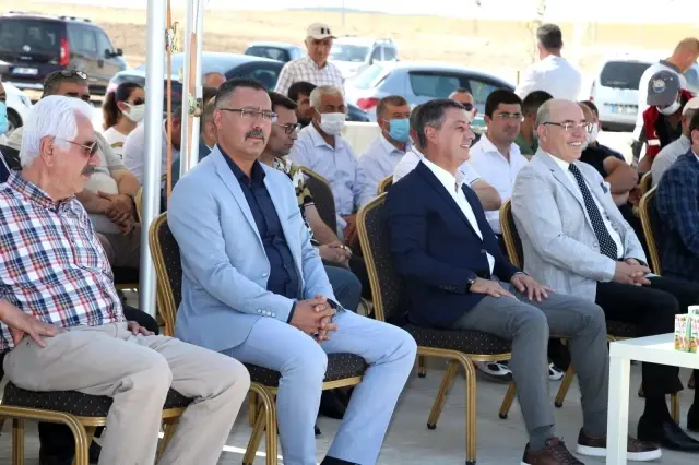 Kurbanlık tosunlar podyumda güzelliklerini sergiledi 12 Kurbanlık tosunlar podyumda güzelliklerini sergiledi
