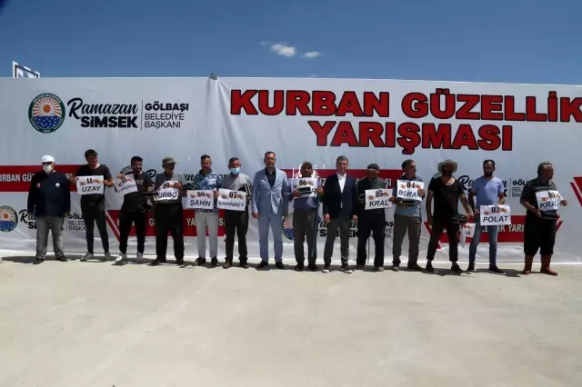 Kurbanlık tosunlar podyumda güzelliklerini sergiledi 4 Kurbanlık tosunlar podyumda güzelliklerini sergiledi