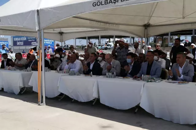 Kurbanlık tosunlar podyumda güzelliklerini sergiledi 8 Kurbanlık tosunlar podyumda güzelliklerini sergiledi